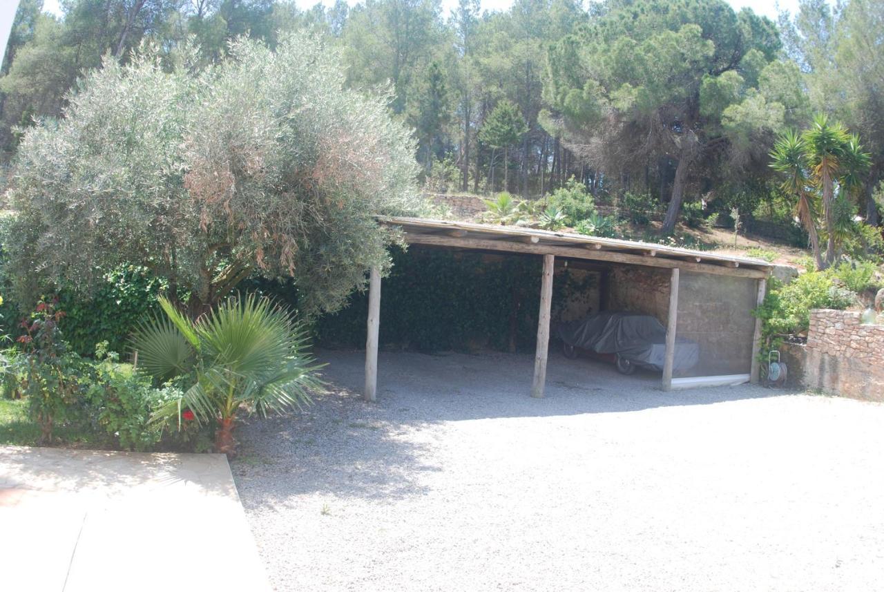 Pinato Villa Cala Llonga (Ibiza)
