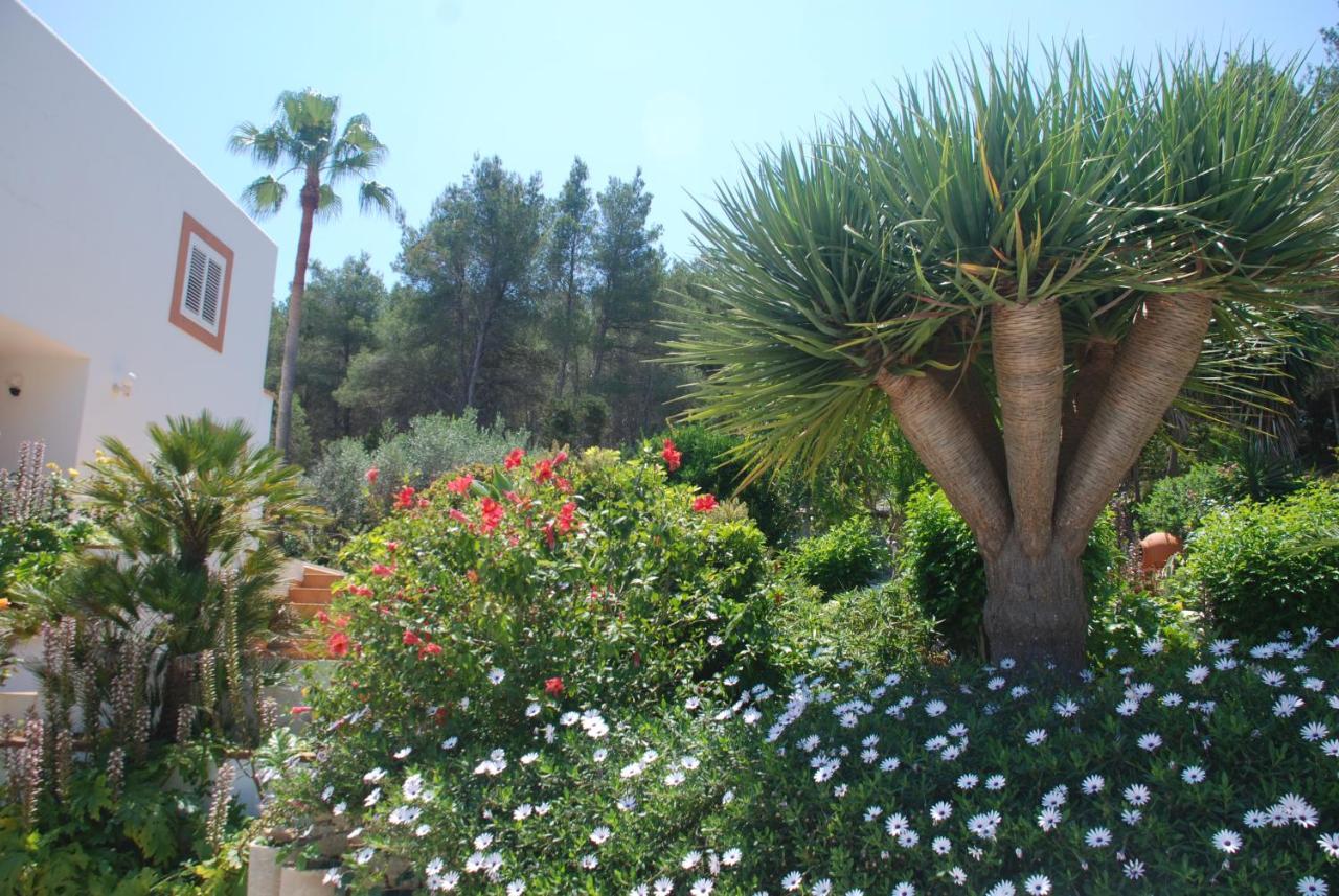 Villa Pinato Cala Llonga (Ibiza)